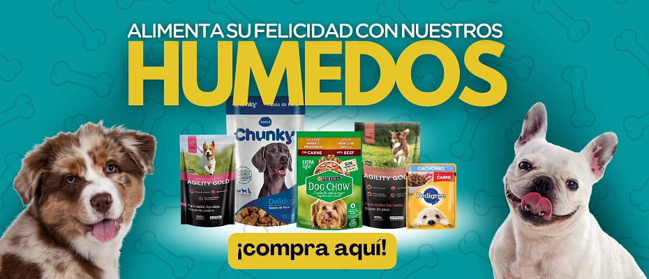 Alimentos Humedos Para tu Mascota