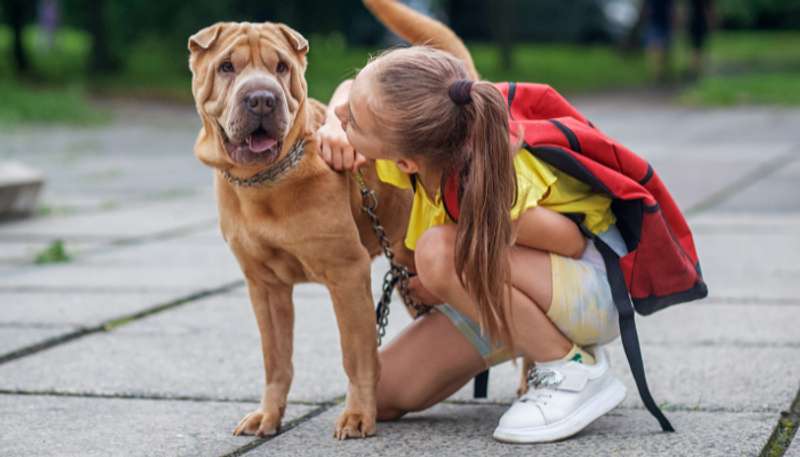 Colegio Canino