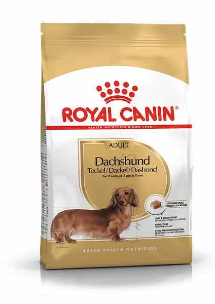 Dachshund Adulto 1.5 Kg