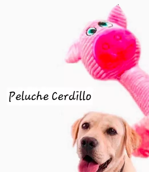 Peluche Cerdillo