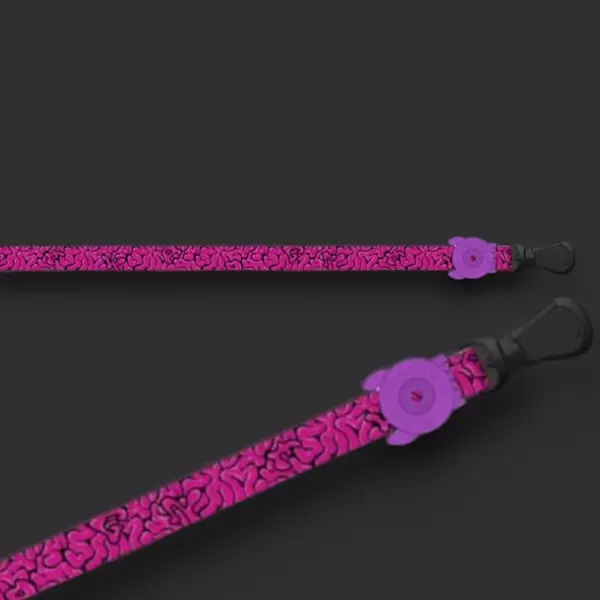 Town Brain Leash